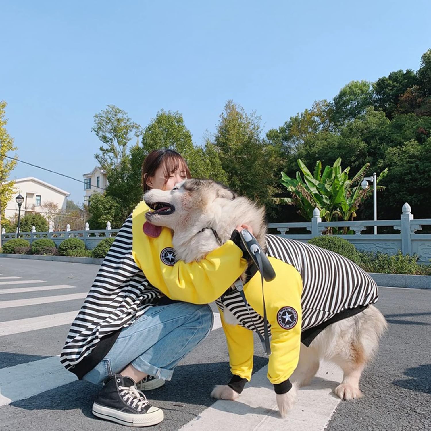 Family Dog Hoodie, Dog and Owner Matching Hoodies Fashionable, Pet and Pet Owner Sweater, for Small Medium Large Dogs, Parent & Pet Hoodie are Sold Separated