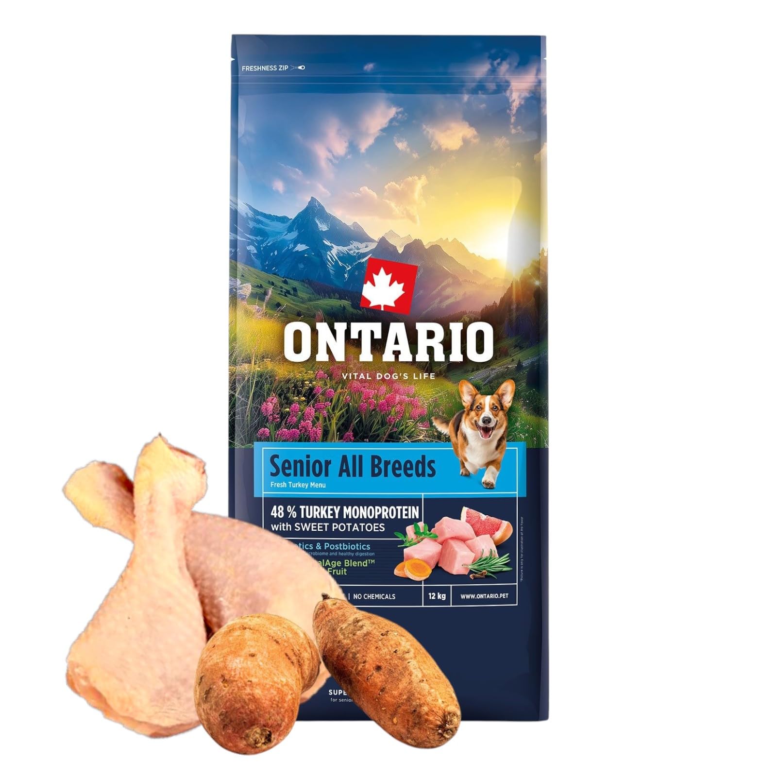 ONTARIO SENIOR MONO 12KG Karma Monoproteinowa dla Starszych Psów z Indykiem