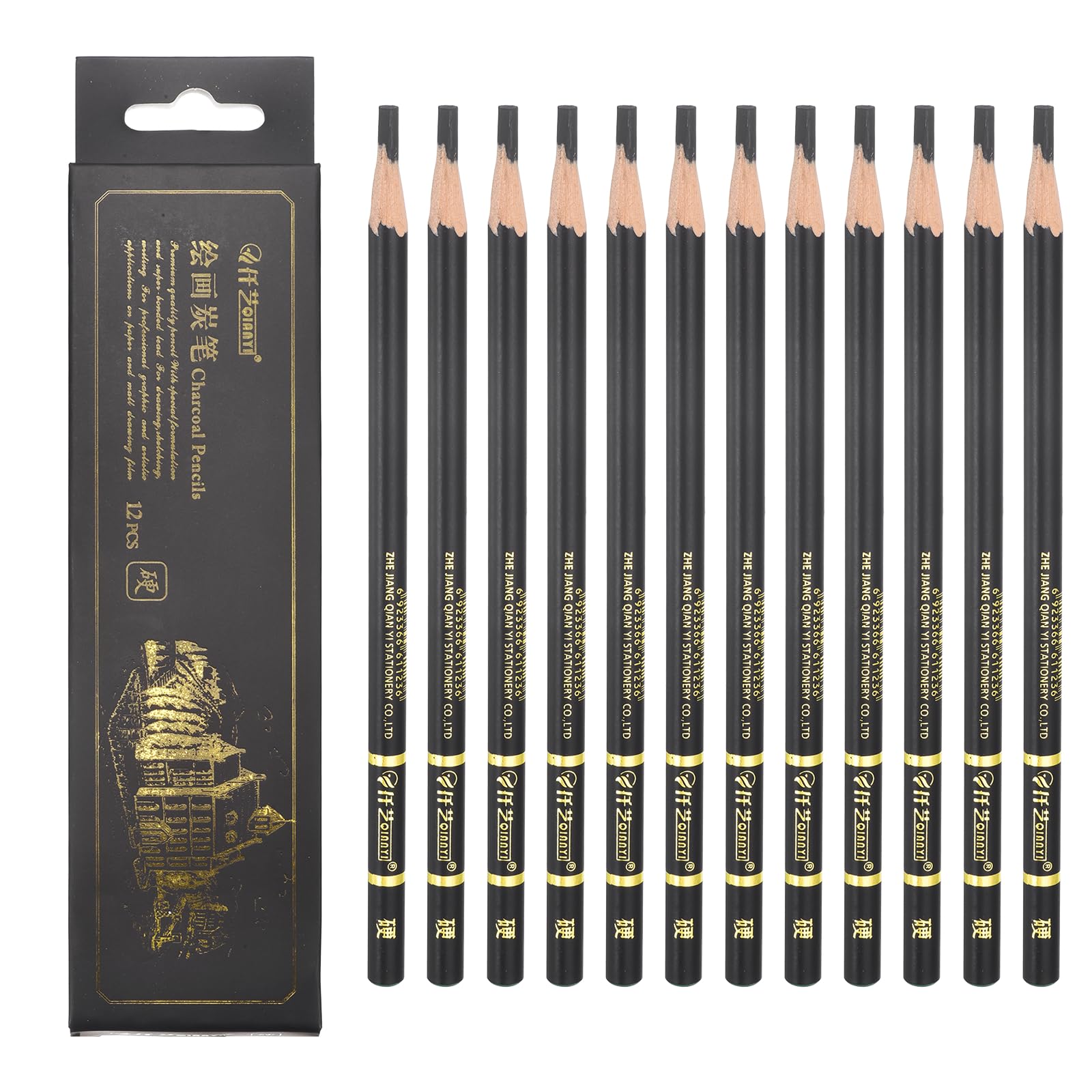 PATIKIL Medium Charcoal Pencils for Drawing, 12Pcs Professional Charcoal Pencils Art Supplies Set Oily Black Break-Resistant for Sketching Artists Beginners Shading Blending