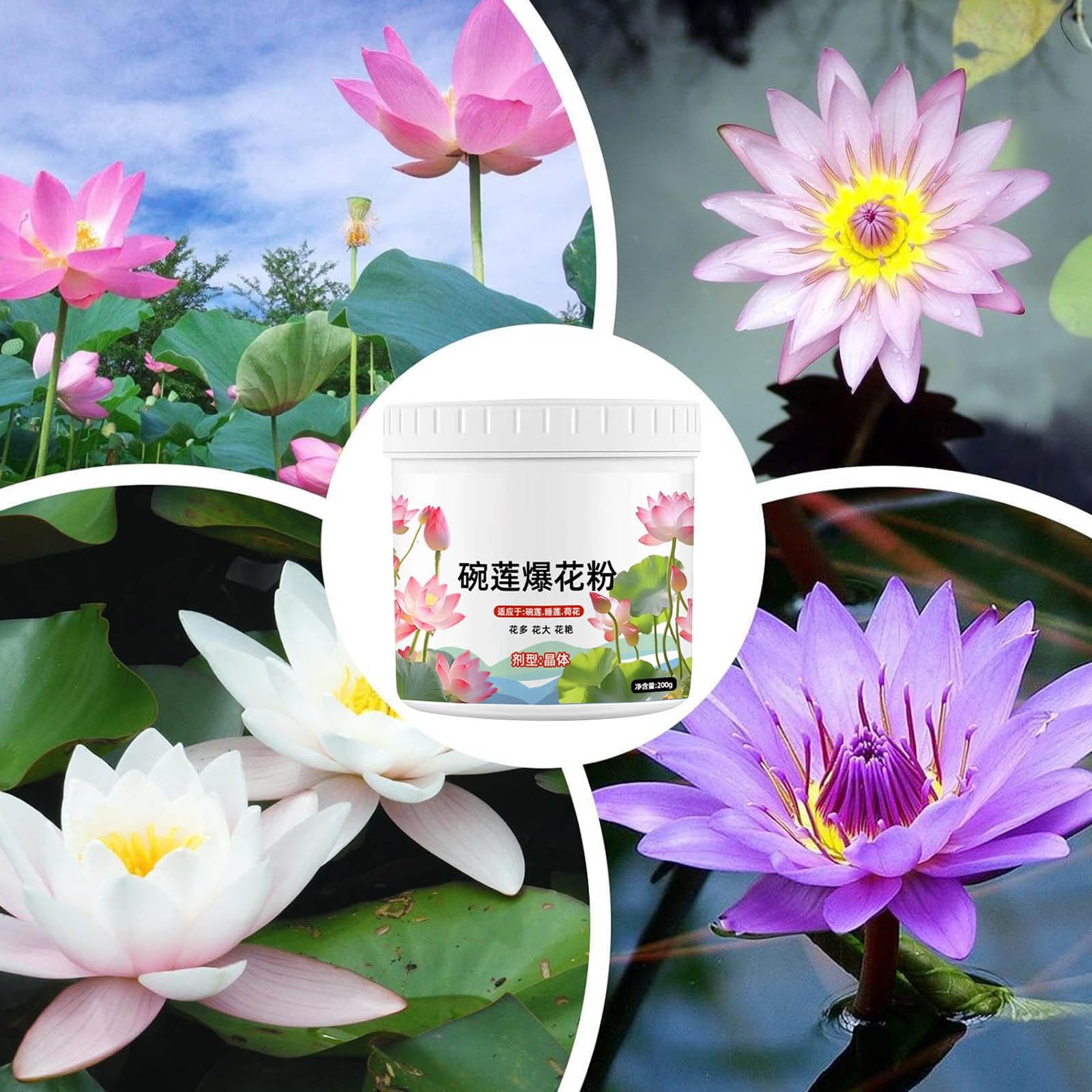 Wasserpflanzendnger 200G, Dnger Wasserlily - Lotuswachstum Pulver,  Seerosen-Nhrstoffbltendnger, Teichpflanzen Nhrstoff fr Effektiver  Pflanzenblten-Booster, Strkerteichblte Dnger : Amazon.de: Garten