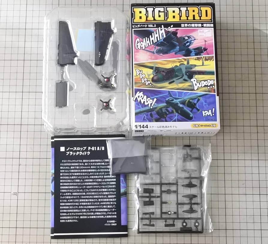 Amazon.co.jp: BIG BIRDVol.2 P-61A 6th NFS サイパン 1944