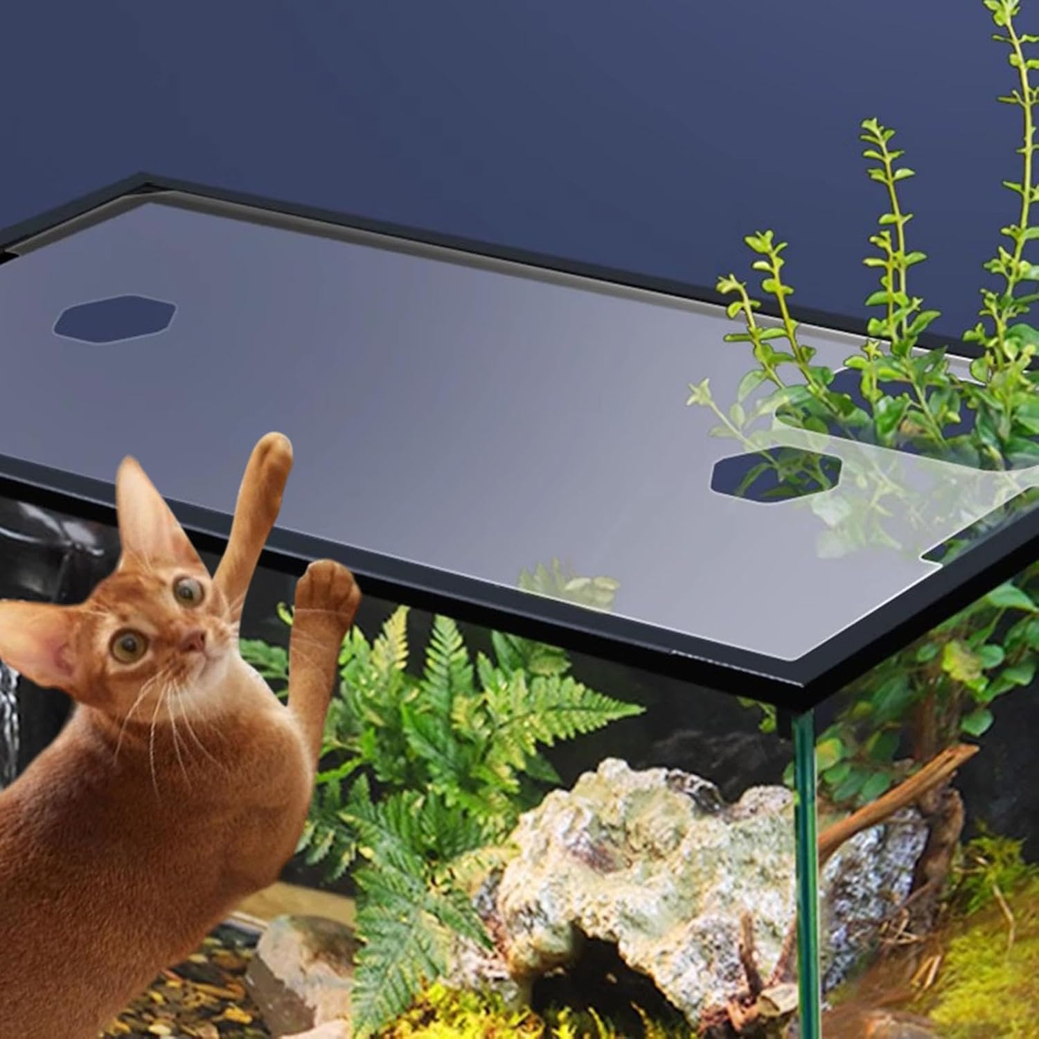 Aquarium Lid Cover with Frame, Sturdy, Transparent, Prevents from Jumping Out, Quick Installation, with Feeding Holes, for 43, 43cmx25.5cmx1.2cm