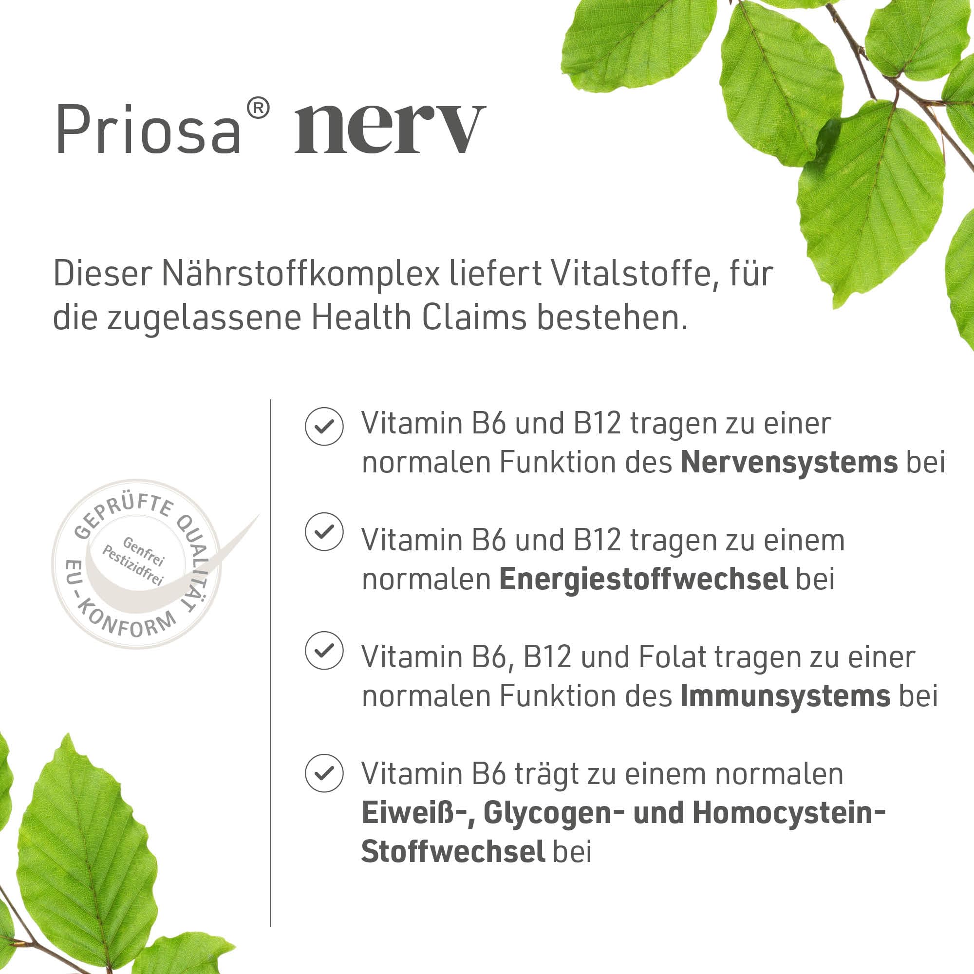 Priosa nerv I 70 Vitamin Kapseln zur Unterstützung der Funktion des Nervensystems I Nahrungsergänzungsmittel mit Vitamin B6 & Vitamin B12