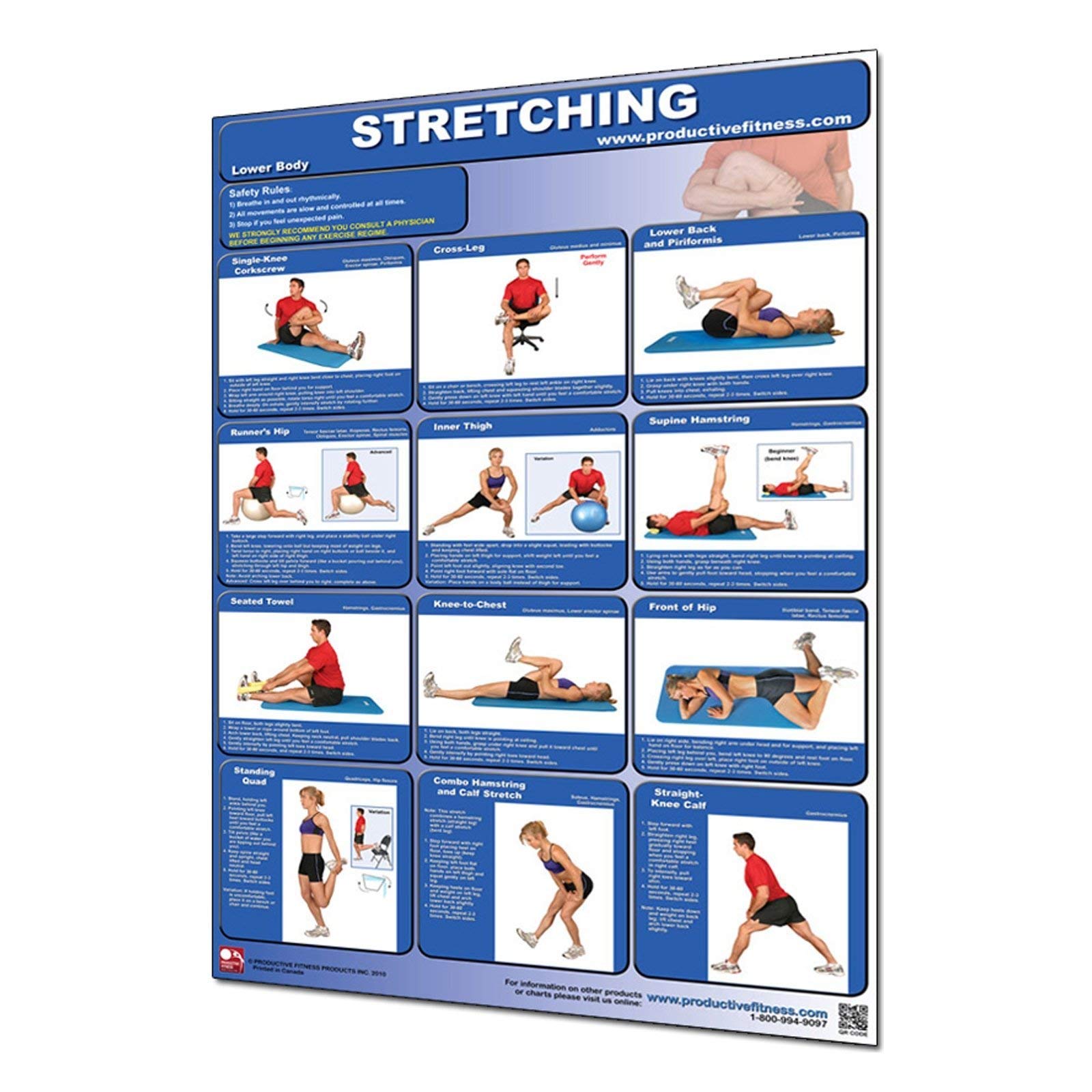 Productive Fitness Poster Series Lower Body Stretching Exercises Non-Laminated