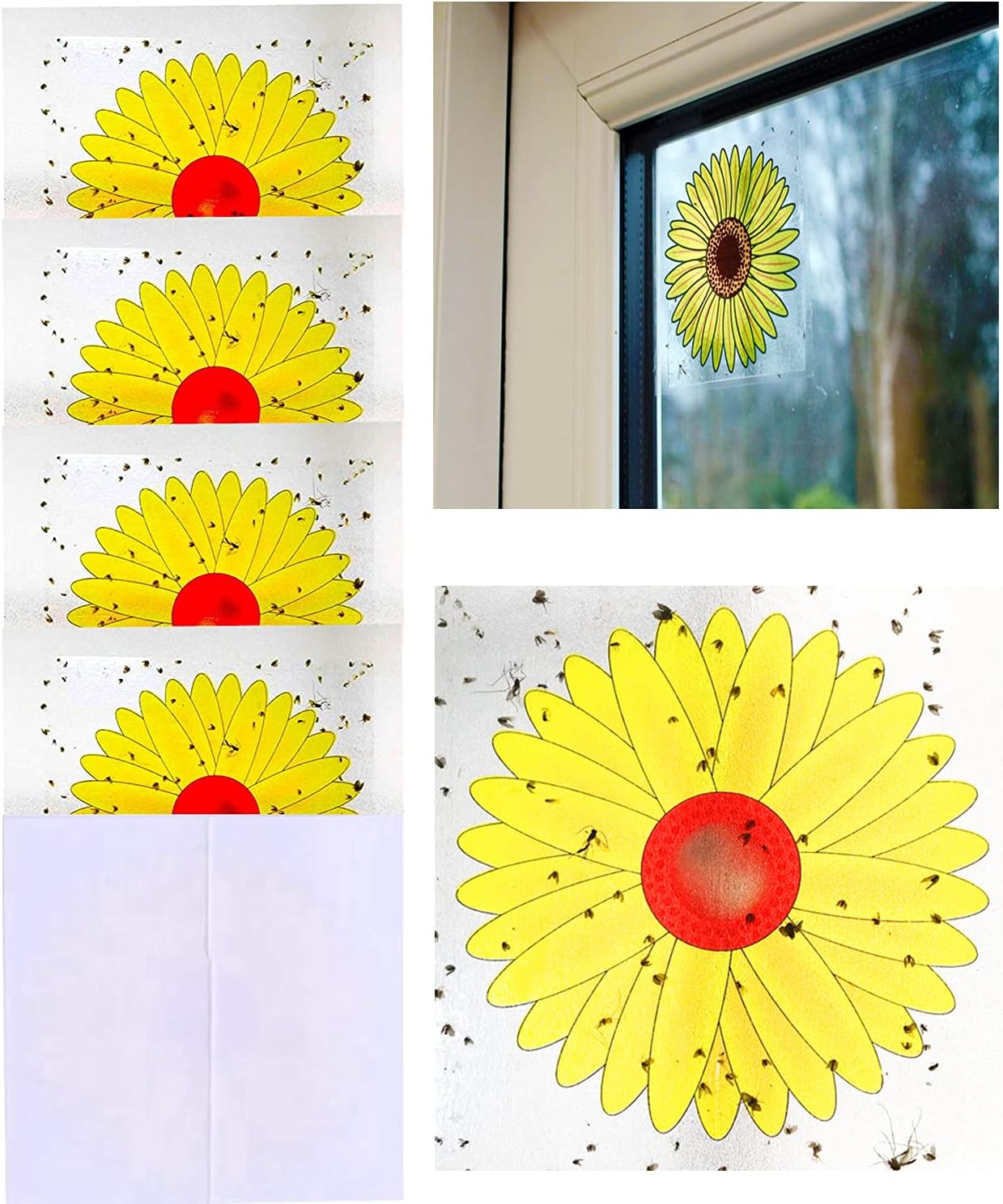 Plai 16PCS Sunflower Style Window Fly Stickers, Insect Flies Wasp Pest Killer-4 Packs x 4 Traps Each Package, Unknown
