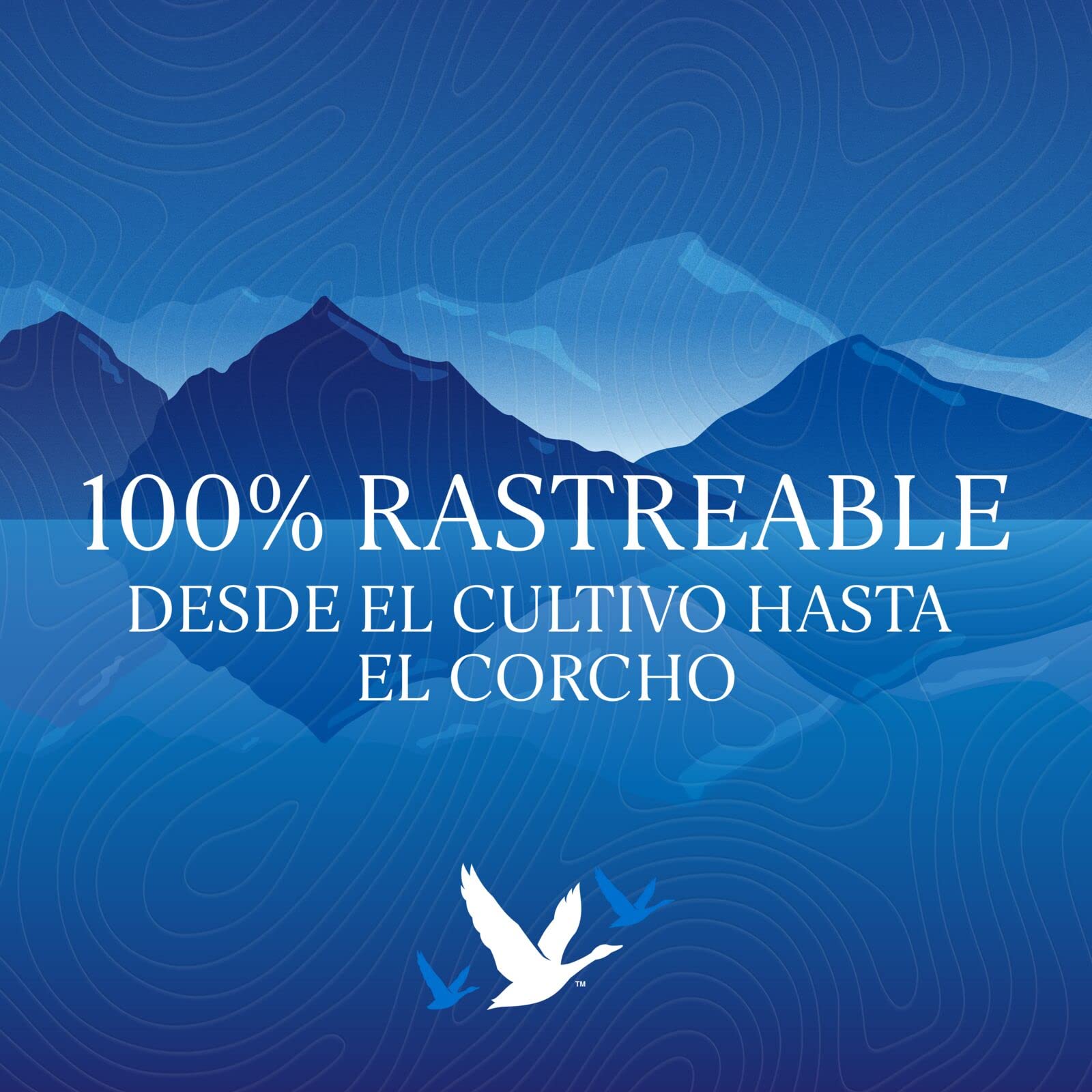 GREY GOOSE vodka prémium francés, elaborado exclusivamente con el mejor trigo francés y agua de manantial natural, 40 % ALC., 600 cl / 6l