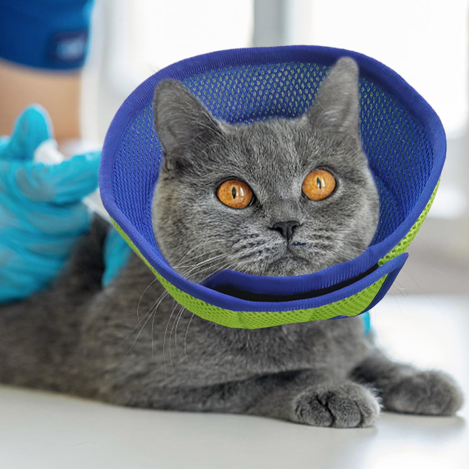 1 Stück Haustierhalsband, Schutzhalsband Für Katzen Und Hunde, Hundekegel Zur Postoperativen Genesung, Haustierschutzkopfbedeckung, Haustierbedarf