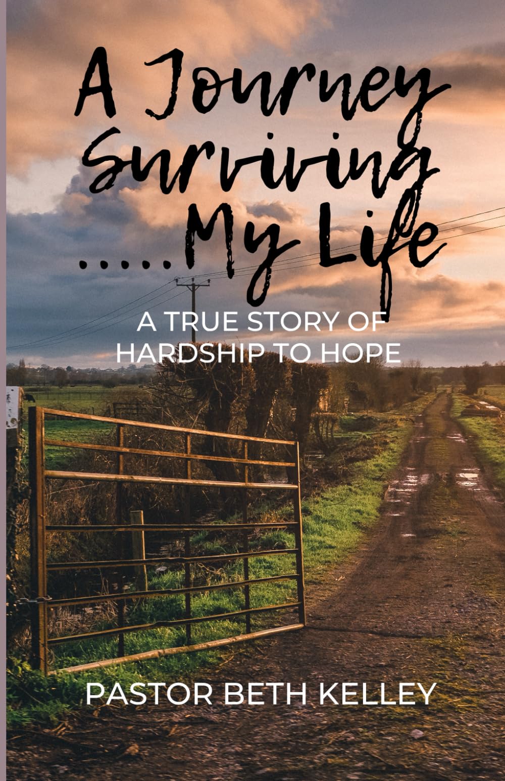 A Journey Surviving My Life: A True Story of Hardship to Hope