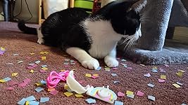 Review Image by Liz Liz