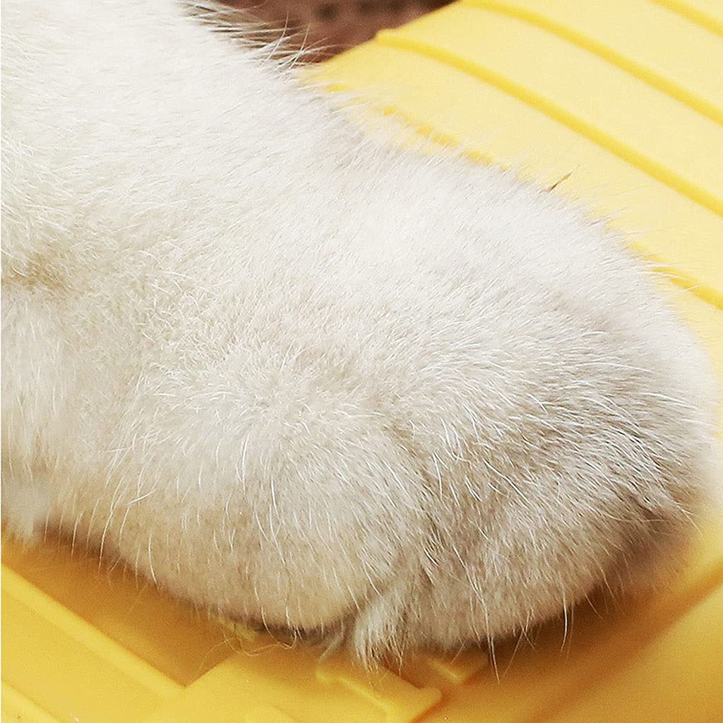 Lettiera per Gatti Cat Lettiera Creative Cat Box Semi-Chiuso Proof A Prova di Spruzzi Tock Deodorante Deodorante Brush-Proof Supplies Supplies Facile da Pulire Toilette per Gatti (Color : A)