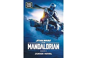 The Mandalorian Junior Novel: Filling the Mandalorian Season 3 Void!