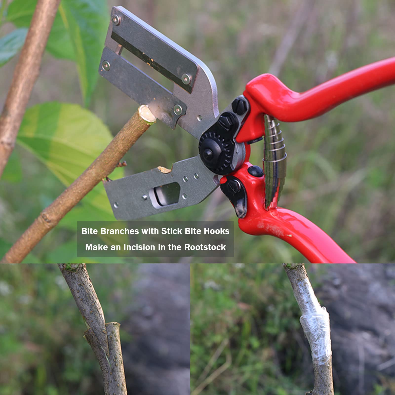 Forbici Innesto Professionale, Giardino Innesto Kit di Attrezzi per Efficiente Potatura e Innesto, con Nastri per Innesto e Lame di Ricambio, per Alberi da Frutto/Pianta/Ramo, Garden Grafting Tool