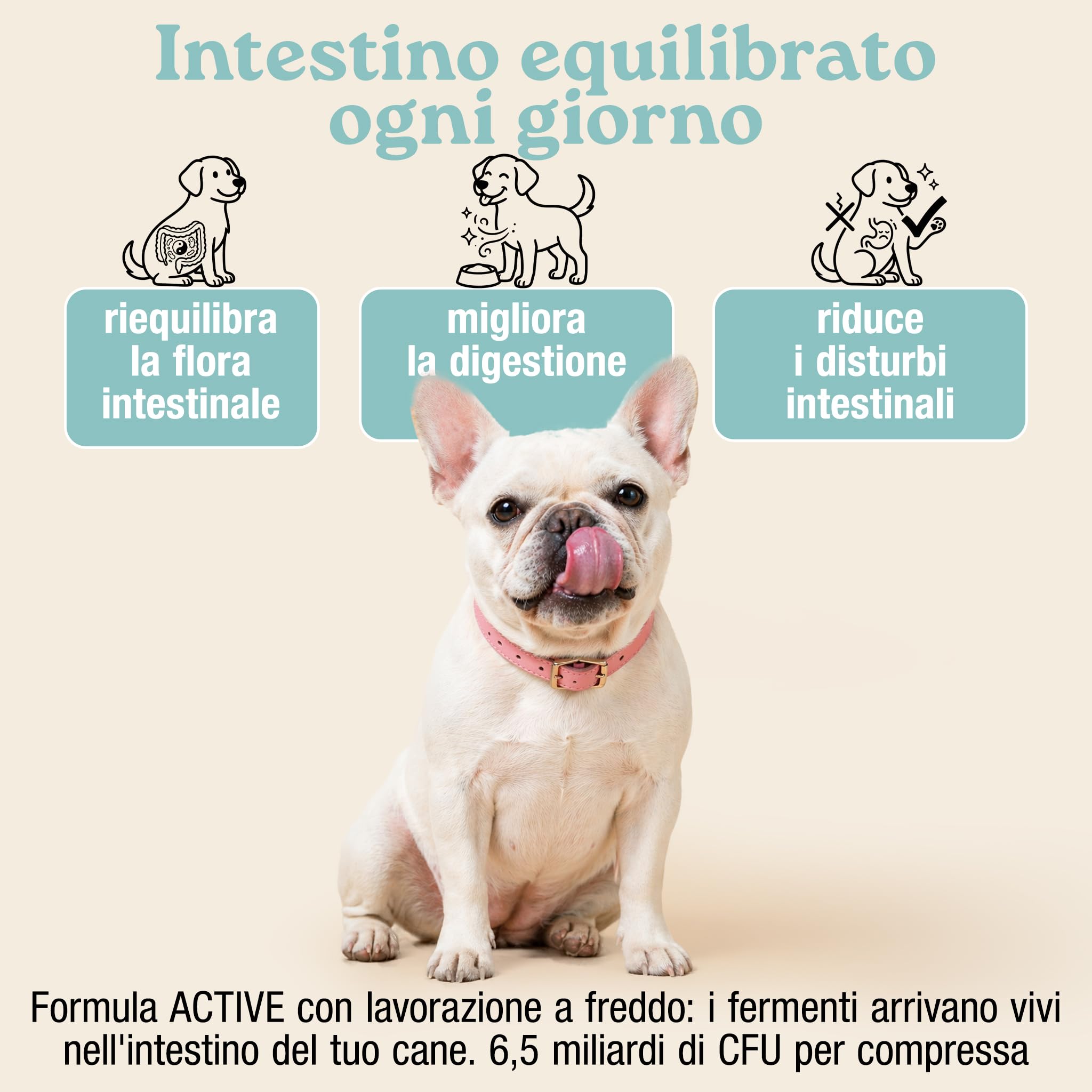 MyPetPrime Fermenti Lattici Cane ACTIVE 30 Cpr Probiotici Digestivi da 6,5 Miliardi con Inulina - Equilibrio Intestinale e Digestione, Ripristino della Flora Batterica, Riduzione di Prurito Cutaneo