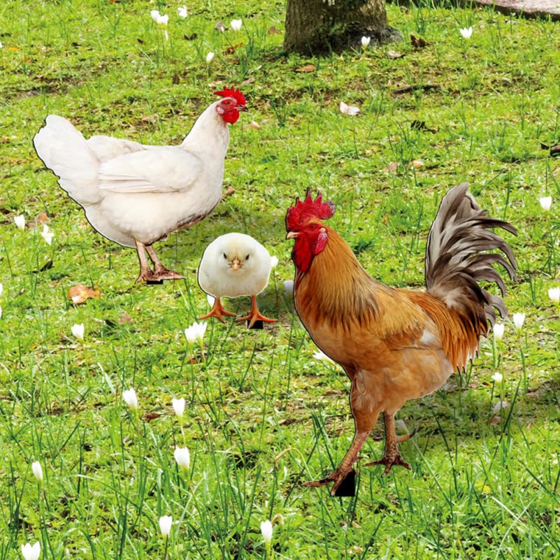 Image of balacoo Garden Chicken Stakes Decorative Rooster Hen Chicks Outdoor Yard Lawn Stakes Acrylic Double-Sided Realistic Chicken Decor