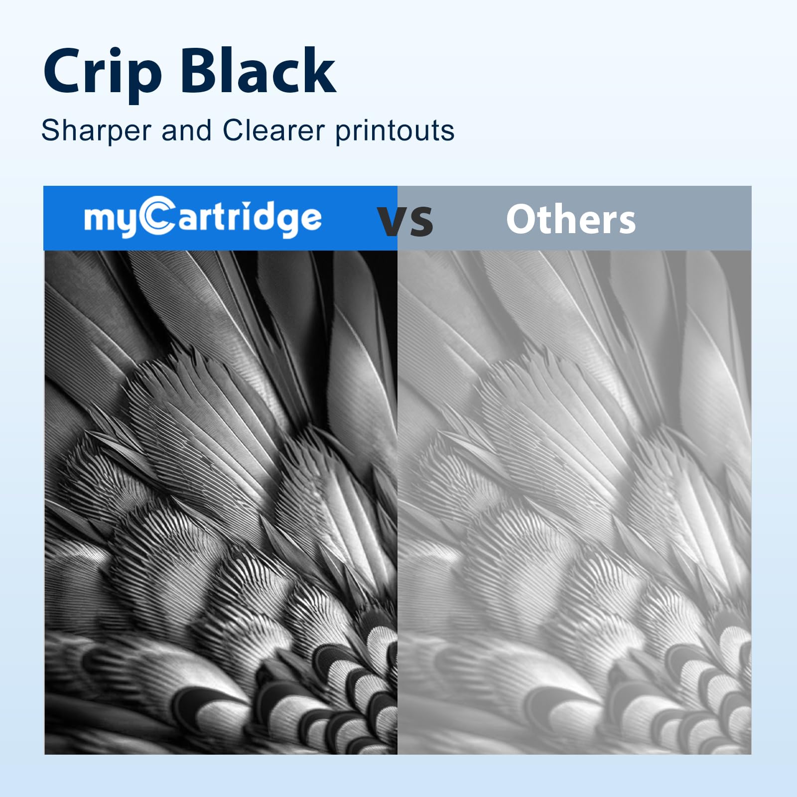 MYCARTRIDGE TN2420 Cartuccia Toner Compatibili per Brother TN 2420 TN-2420 TN2410 per Brother MFC L2710DW L2710DN MFC-L2710DW MFC-L2710DN HL-L2350DW HL-L2310D MFC-L2750DW DCP-L2510D (2 Nero)