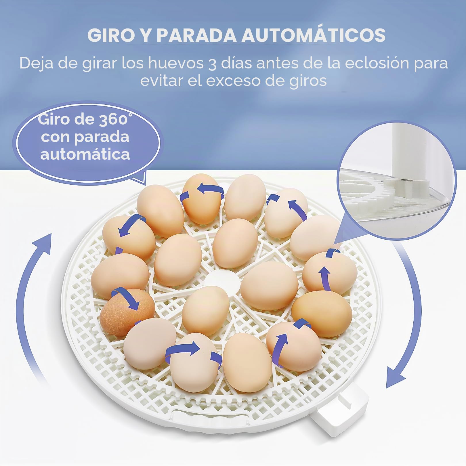 Sailnovo Incubadora Automatica de 18 Huevos Totalmente Automática, Pantalla ℉, Días de Eclosión, Nivel de Humedad, Rotación y Parada Automáticas, Vela de Huevo – Vista de 360° Incubadora