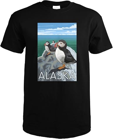 Amazon.com: Alaska, Puffins on Rock 