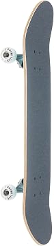 Primitive Skateboard Complete Codes Teal 7.75 Assembled
