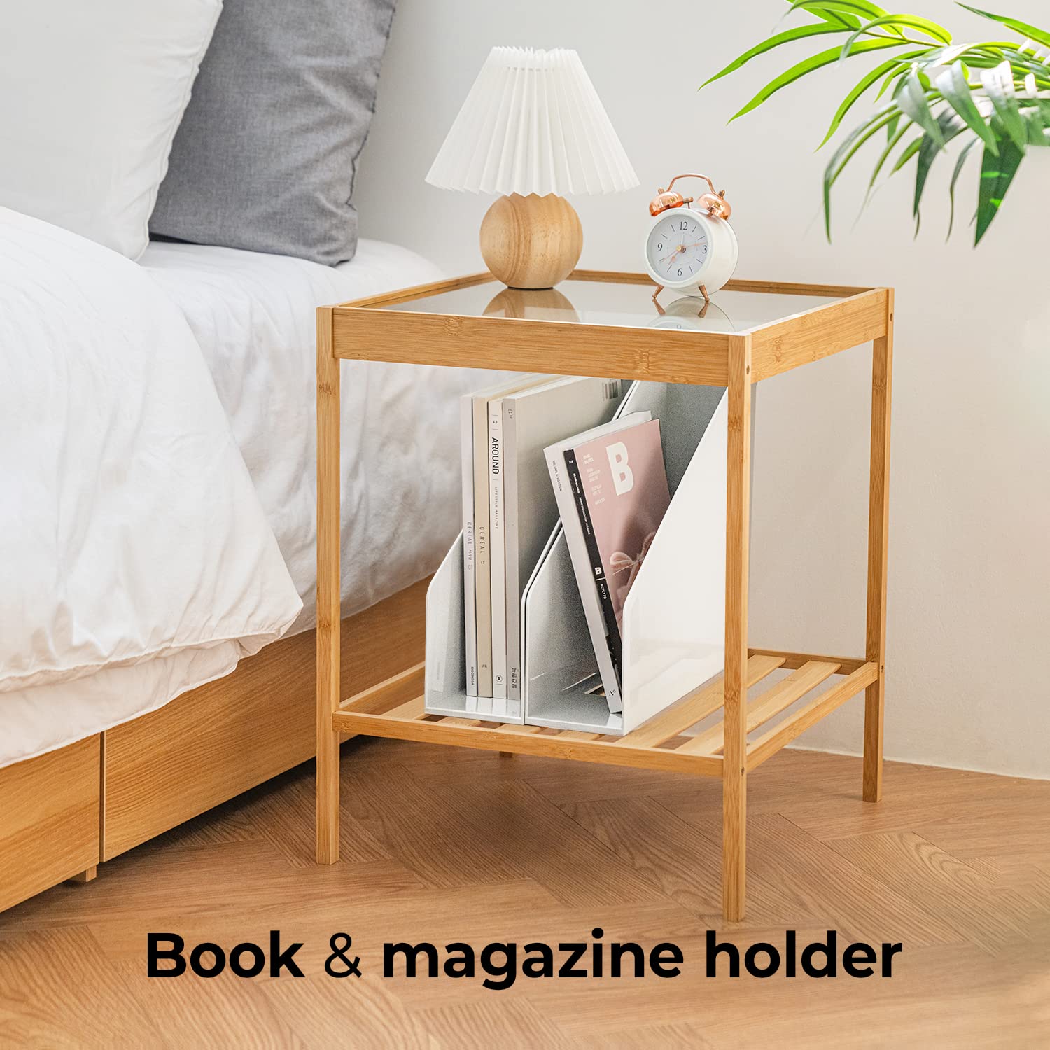 carrotez Office Rack/Display