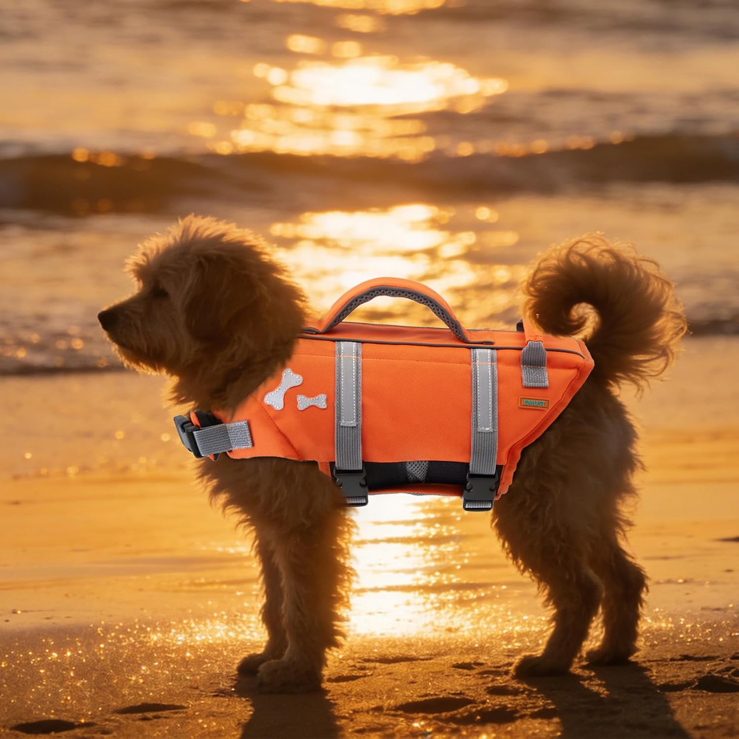 EMUST Dog Life Jacket, Lightweight Dog Life Vests with Rescue Handle for Small Medium and Large Dogs, Pet Safety Swimsuit Preserver for Swimming Pool Beach Boating, 2XL, NewOrange