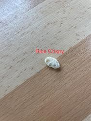 ubuy Puerto Rico