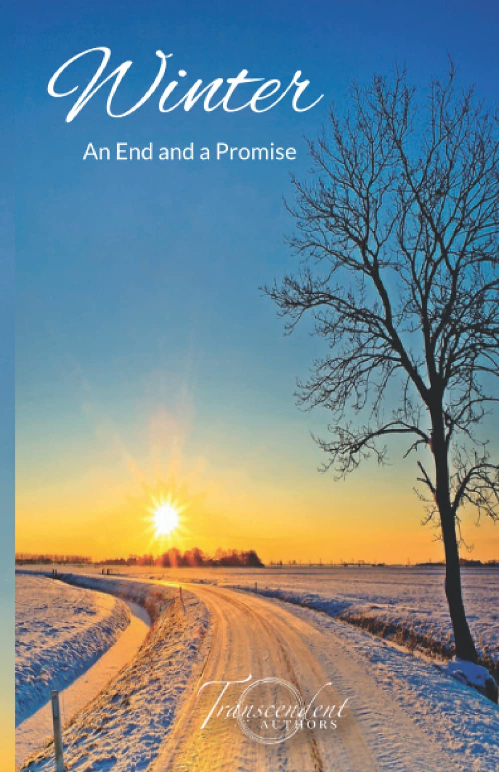 Winter: An End and a Promise