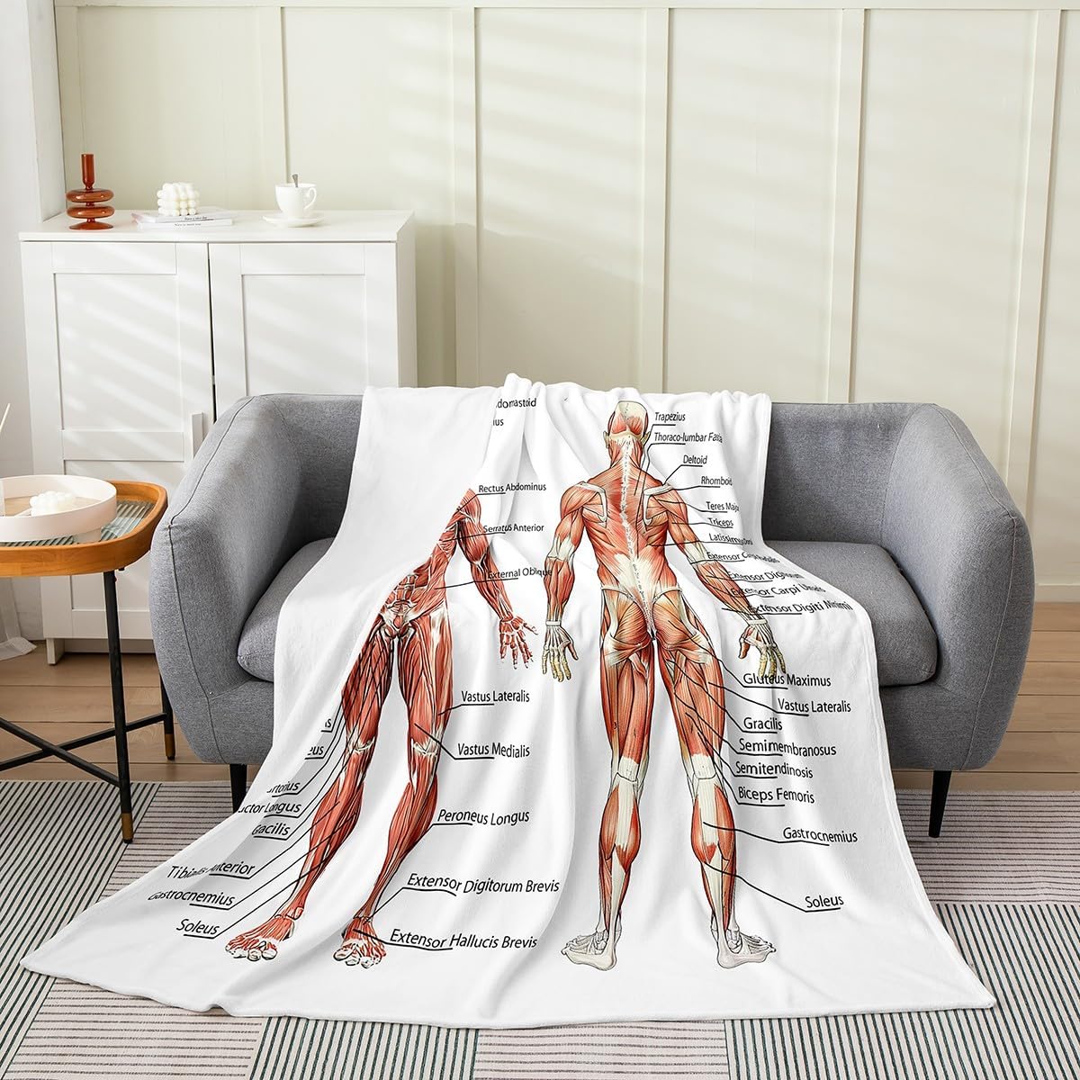 Human Anatomy Fuzzy Blanket Complete Diagram Different Organs Flannel Fleece Throw Blanket for Sofa Couch Kids Body Structure Cell Life Diagram All Season Bed Blanket White Plush Blanket Queen 90"x90"