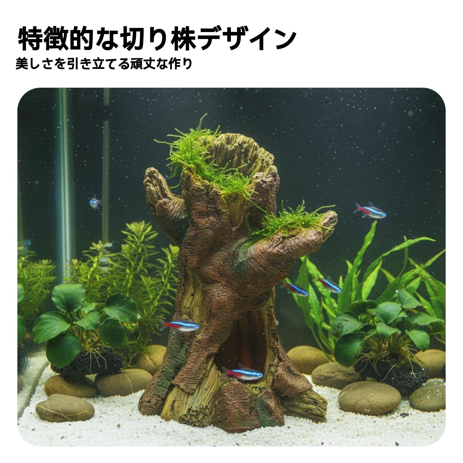 Amazon.co.jp: MotiveTech 水槽用レイアウト装飾 樹脂製 木の幹
