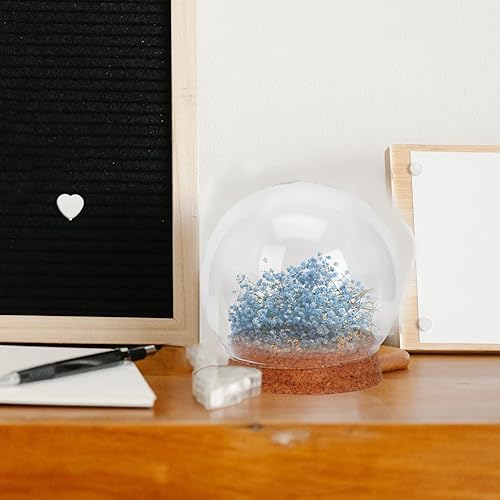 Miniatura 3 de PRETYZOOM Cúpula de cristal de 4 piezas, cúpula de cristal transparente con base de corcho, pequeño tarro de exhibición de vidrio para flores secas