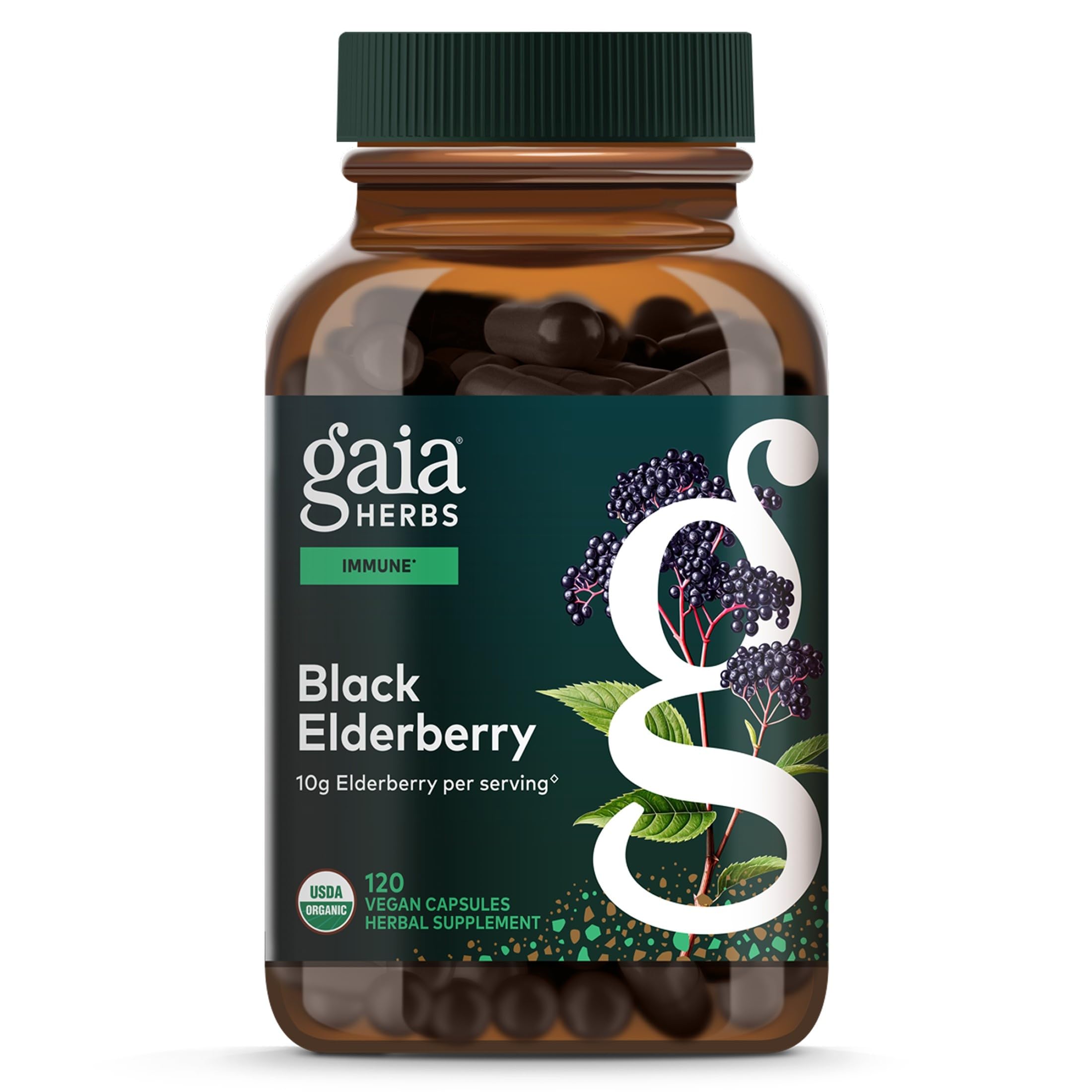 Amazon.com: Gaia Herbs Black Elderberry - Daily Immune Support