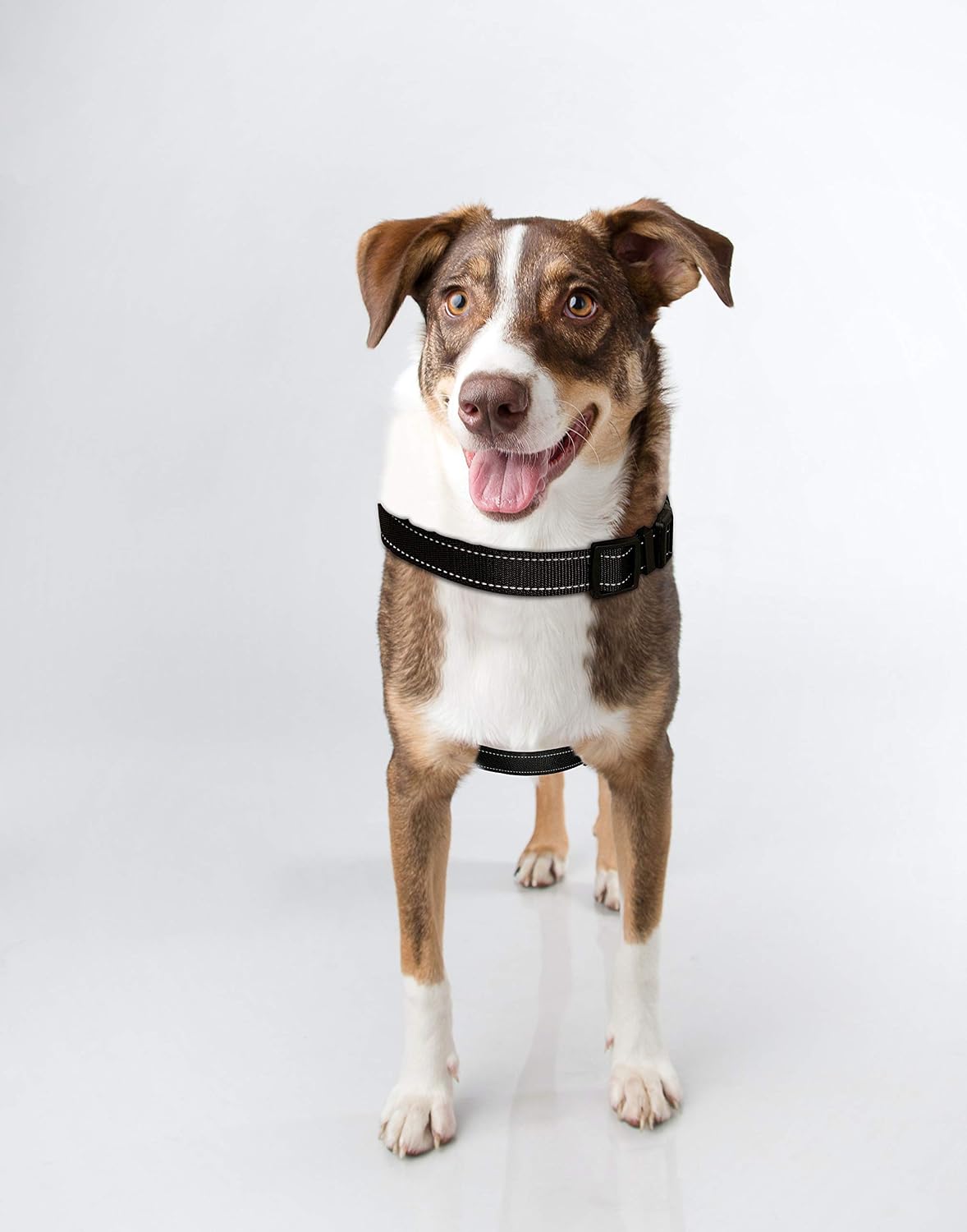APH Red Dog Harness with Handle, No Pull Dog Vest, Adjustable Pet Harness, Soft Breathable Fabric, Padded Vest with Training Handle,…