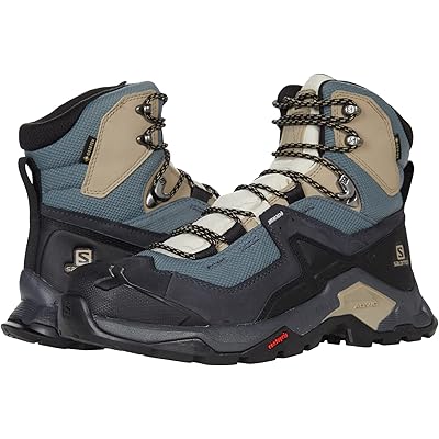 Женские кроссовки Salomon Quest Element GTX ebony/rainy day/stormy weather