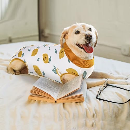 Miniatura 62 de SAWMONG Traje de recuperación para perros, traje de recuperación para perros después de la cirugía, traje quirúrgico de esterilización para perros