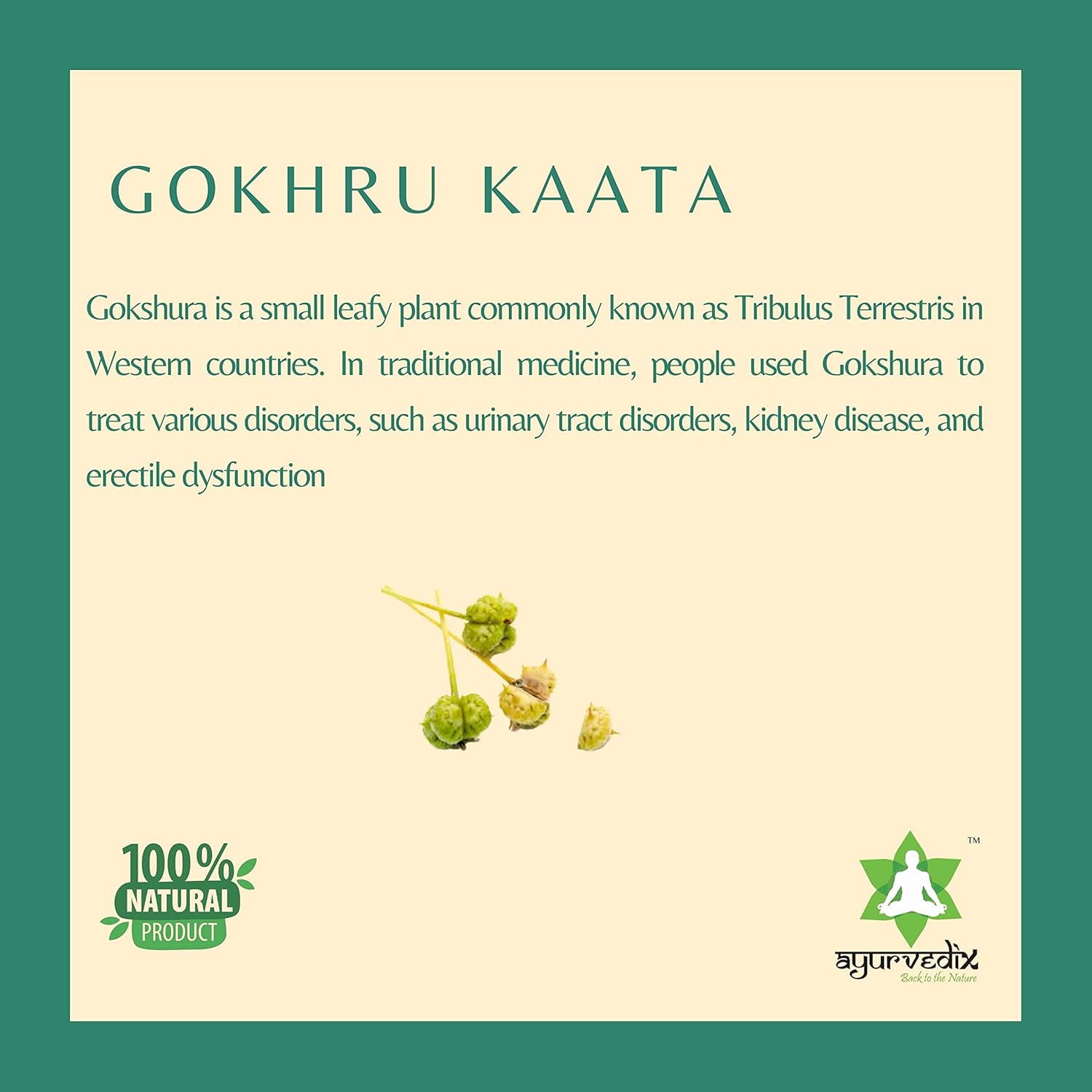 Gokhru Kaata Ark (Gokshura/Tribulus Terrestris) Liquid 200ml (Pack of 2) – Ayurvedic Herbal Distillate for Men & Women, Supports Urinary Health, Kidney Wellness & Vitality, 100% Natural