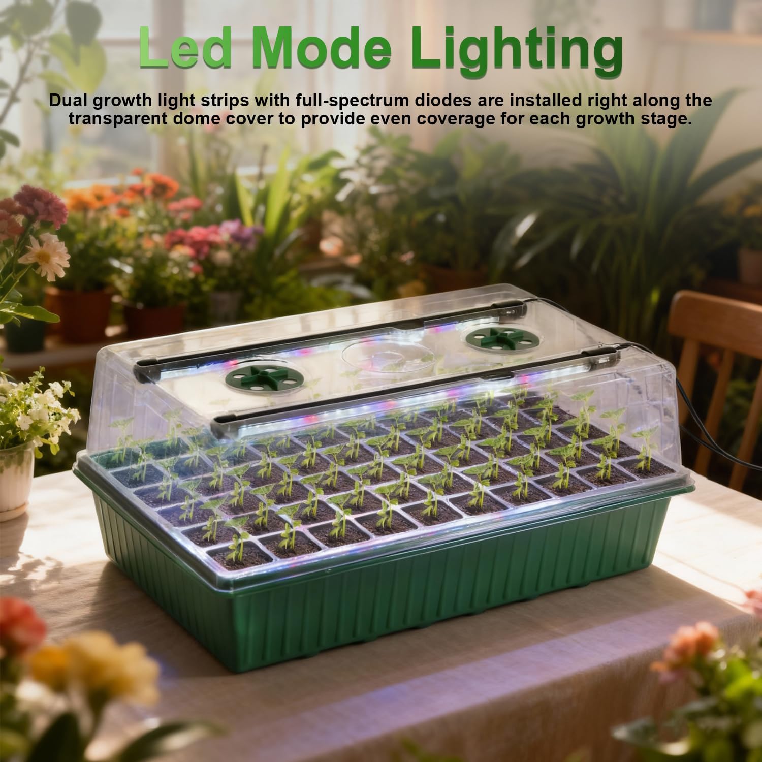 TONYFUL Seed Starter Tray with Grow Light, 60-Cell Seed Starter Kit with 4.07” Humidity Dome, Indoor Seedling Starter Tray, Seed Starting Tray for Plant Germination, Seeds Growing