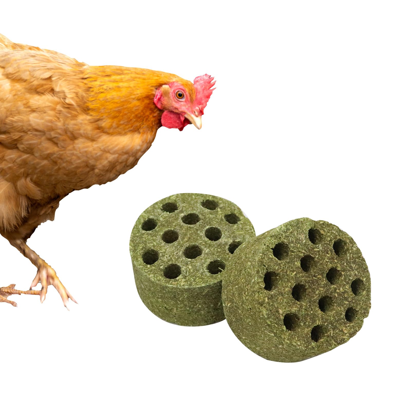 Jouets pour poulailler Timothy : la solution anti-stress pour poules, oies et canards