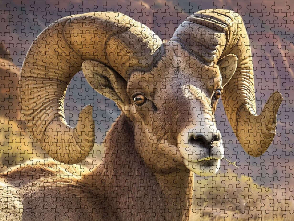 Puzzle dla dorosłych 3000, Bighorn Sheep Animal 3000 elementowe puzzle dla dorosłych, klasyczne gry edukacyjne, gry i zajęcia rodzinne, do dekoracji ścian domu, pomysł na prezent R0KH-136