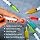 Buy Wanna Party 1.5oz Reusable Shot Syringes - Drink Syringe Shooters