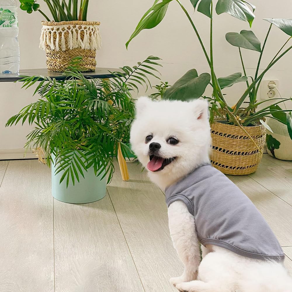 3 Pièces T-Shirt Vêtements d'été pour Chien, D'été T-Shirt en Coton Doux et Respirant sans Manches, pour Chiens et Chats de Petite (Noir, Blanc, Gris) (M)