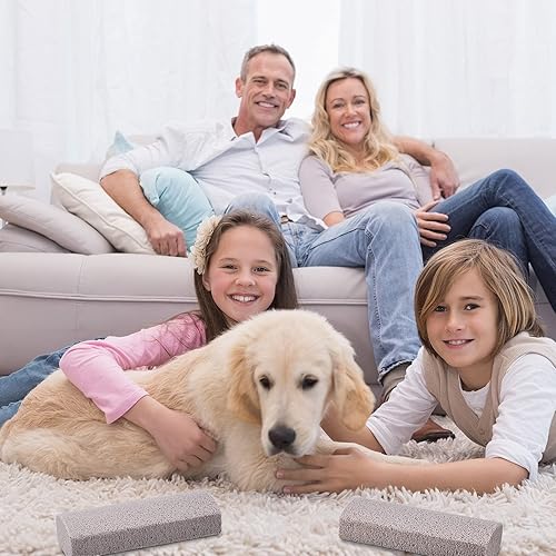 Miniatura 6 de 2 piezas de removedor de pelo de mascotas para depilación de gatos, herramienta de piedra pómez, alfombra de eliminación de piel de perro,