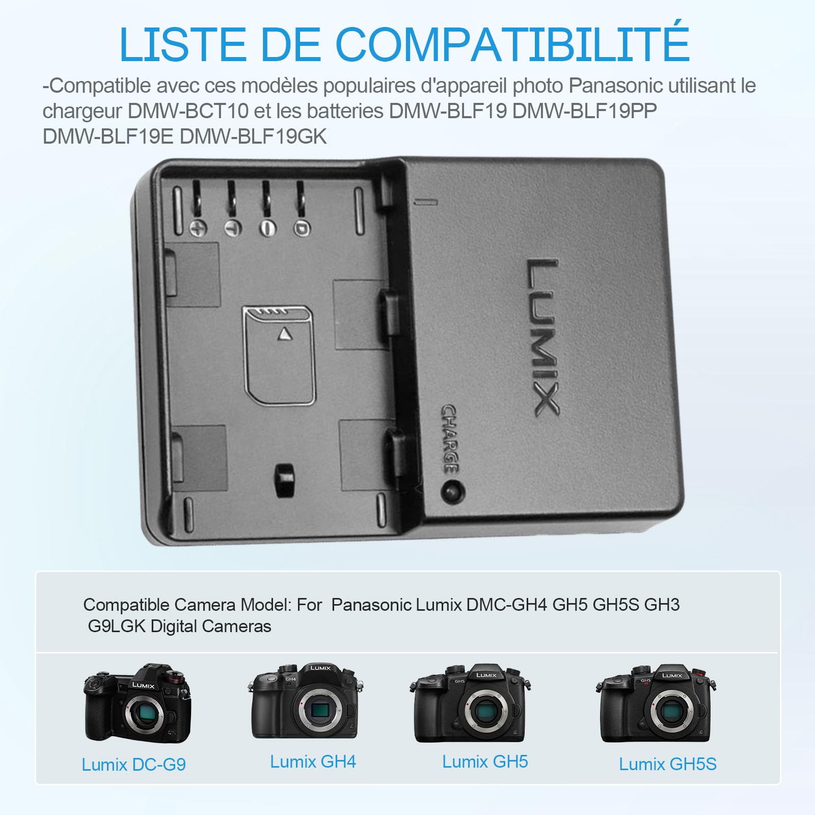 DMW-BCT10 DMW-BLF19 DMW-BLF19E DMW-BLF19PP Chargeur de Batterie Compatible avec Panasonic Lumix DC-G9, DC-GH5, DMC-GH3, DMC-GH3K, DMC-GH4, DMC-GH4K Appareil Photo & 120cm AC Power Cord