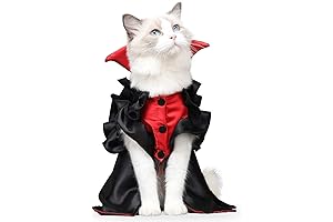 LIANZIMAU Ghost Cat Costume for Halloween
