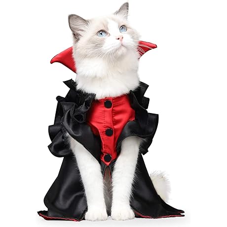 LIANZIMAU Ghost Cat Costume for Halloween