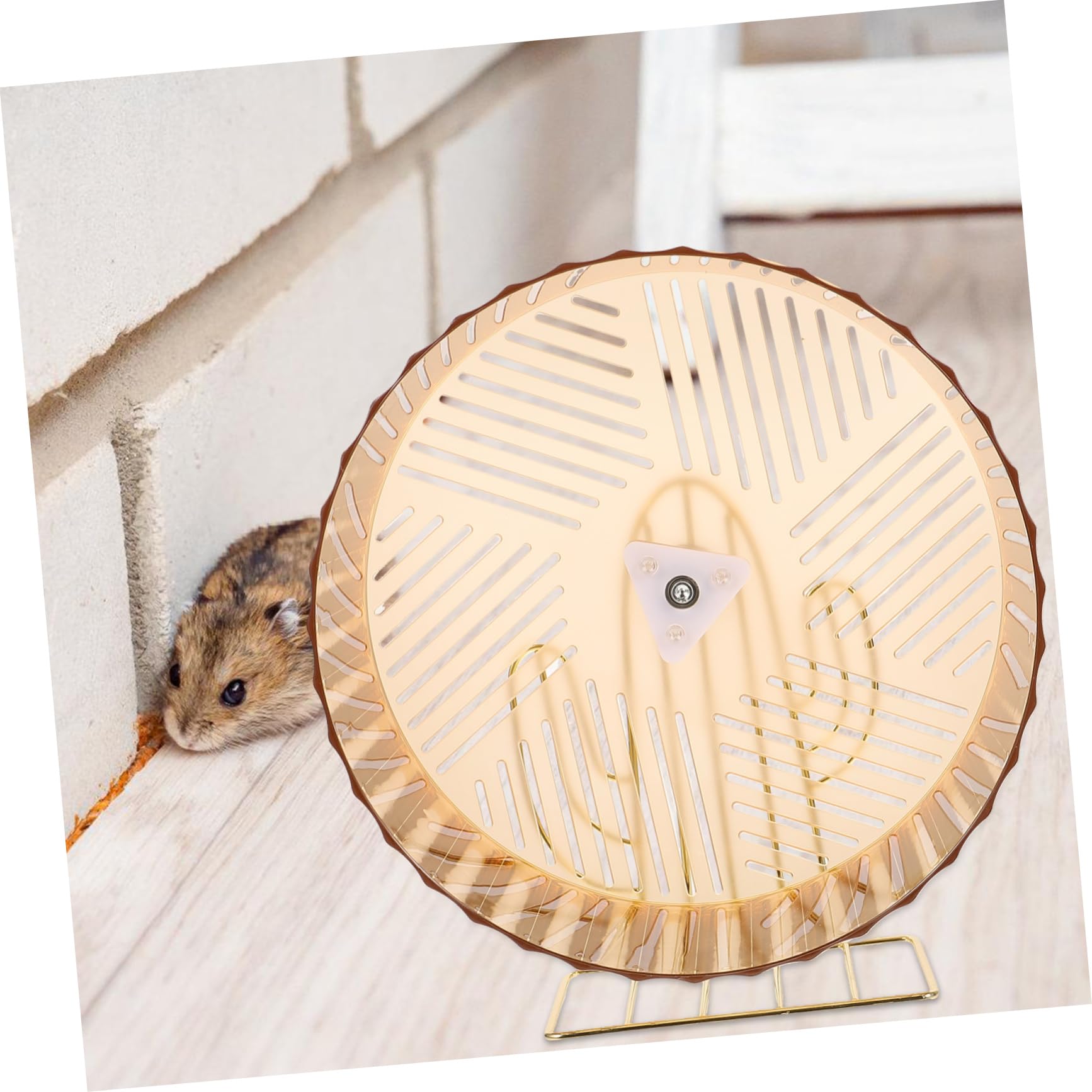Kisangel Rueda de Hámster Silenciosa para Ejercicio, Rueda Compacta para Erizos y Chinchillas, Accesorio Adorable para Jaulas de Roedores