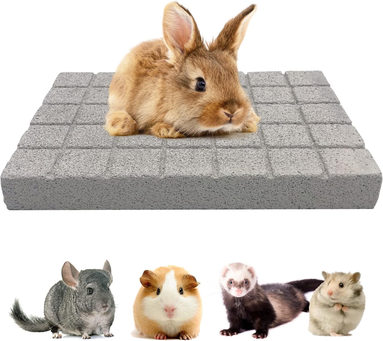 Amazon.com : BNOSDM Rabbit Grinding Claw Pads Bunny Scratch Foot Pads ...