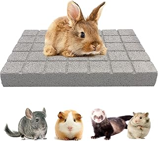 BNOSDM Rabbit Grinding Claw Pads Bunny Scratch Foot Pads Natural Hamster Lava Stone for Teeth Grinding White Rabbit Scratching pad Chew Toy for Guinea Pig Ferret Chinchilla Mouse