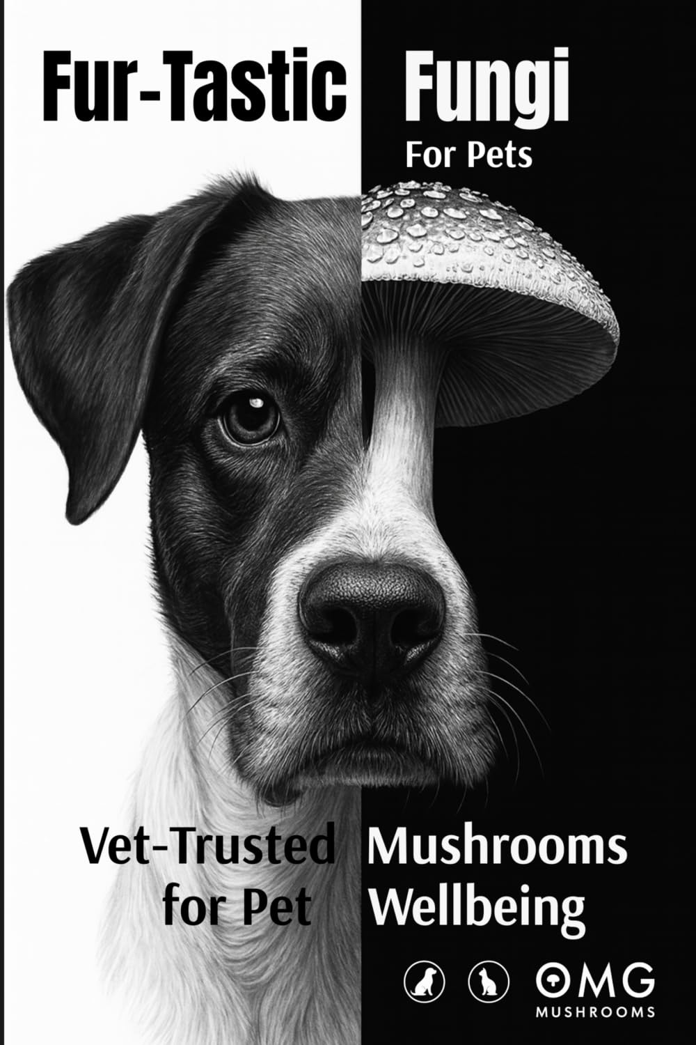 Fur-tastic Fungi: Vet-Trusted Mushrooms for Everyday Wellbeing
