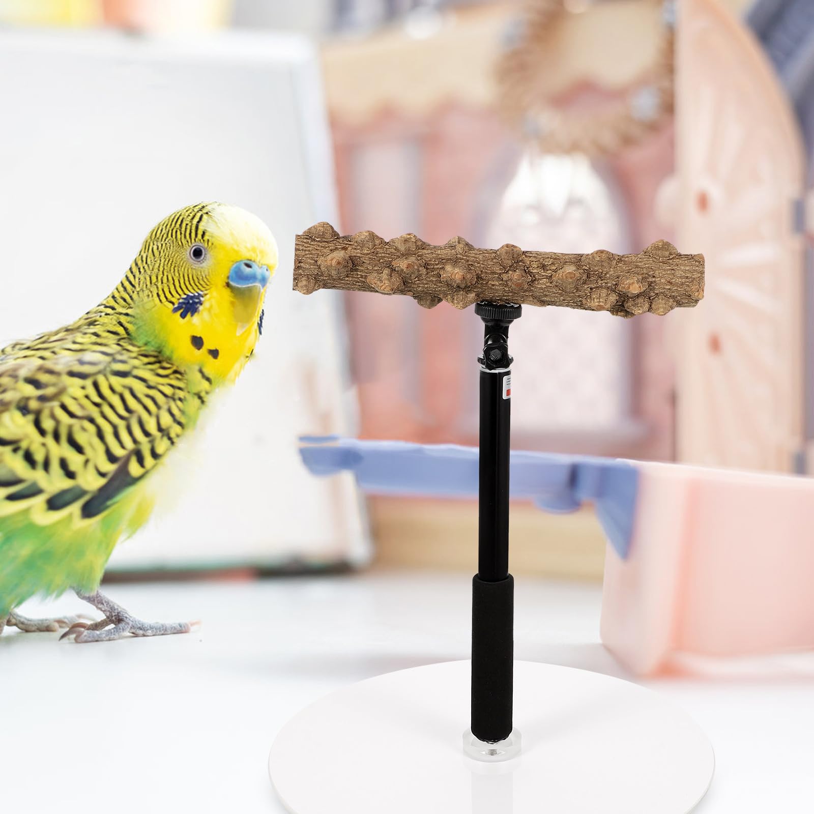 Homoyoyo Verstellbarer Papageienständer aus Metall und Holz mit Stabiler Basis für Vogeltraining und Höhenverstellbare Vogelstangen für Papageien und Vögel im Käfig