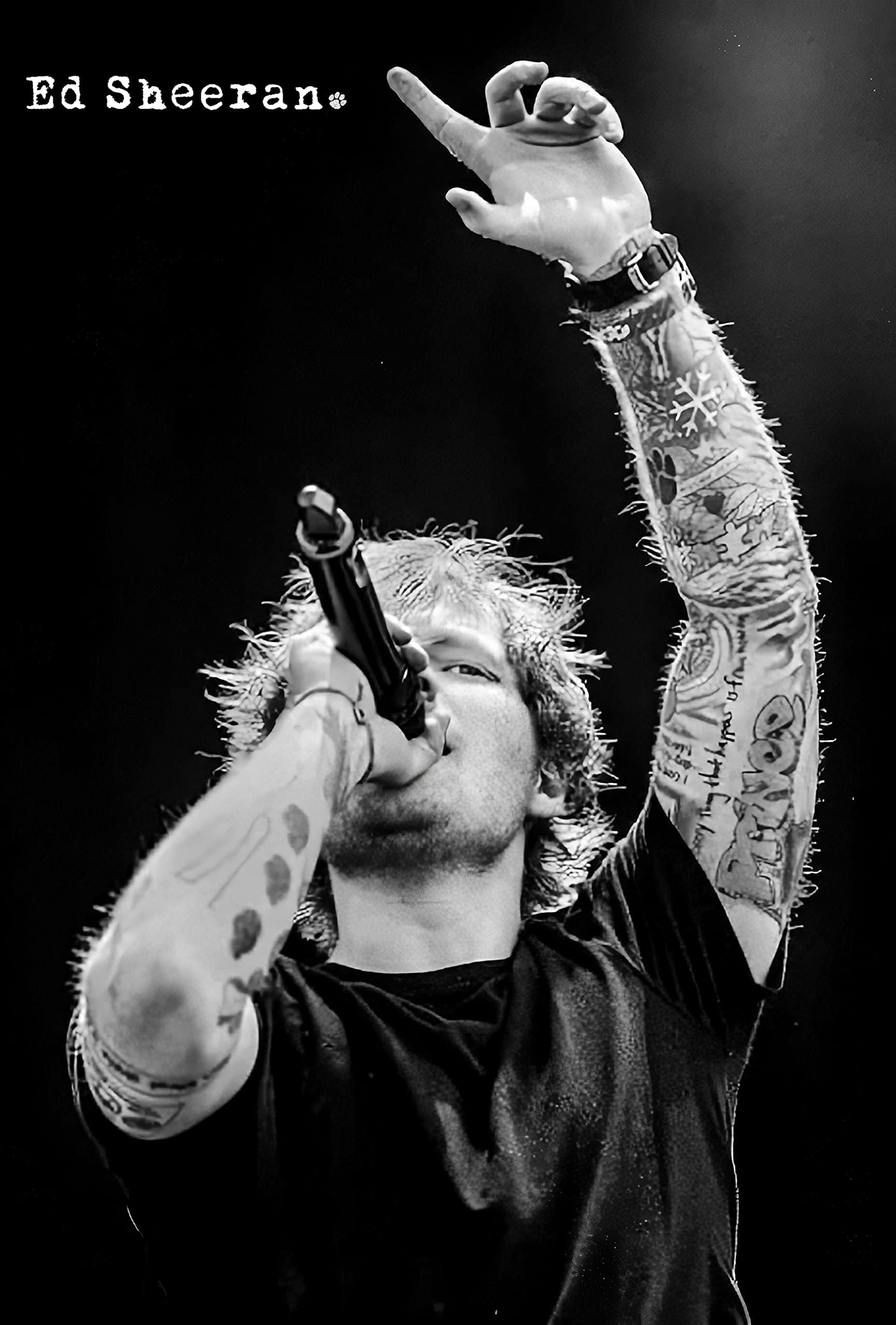 Bharat Udyog Ed Sheeran Poster - B/W Portrait Music Artist Wall Sticker 300 Gsm Art Card Paper Print Artwork Printed (13x19 inch)