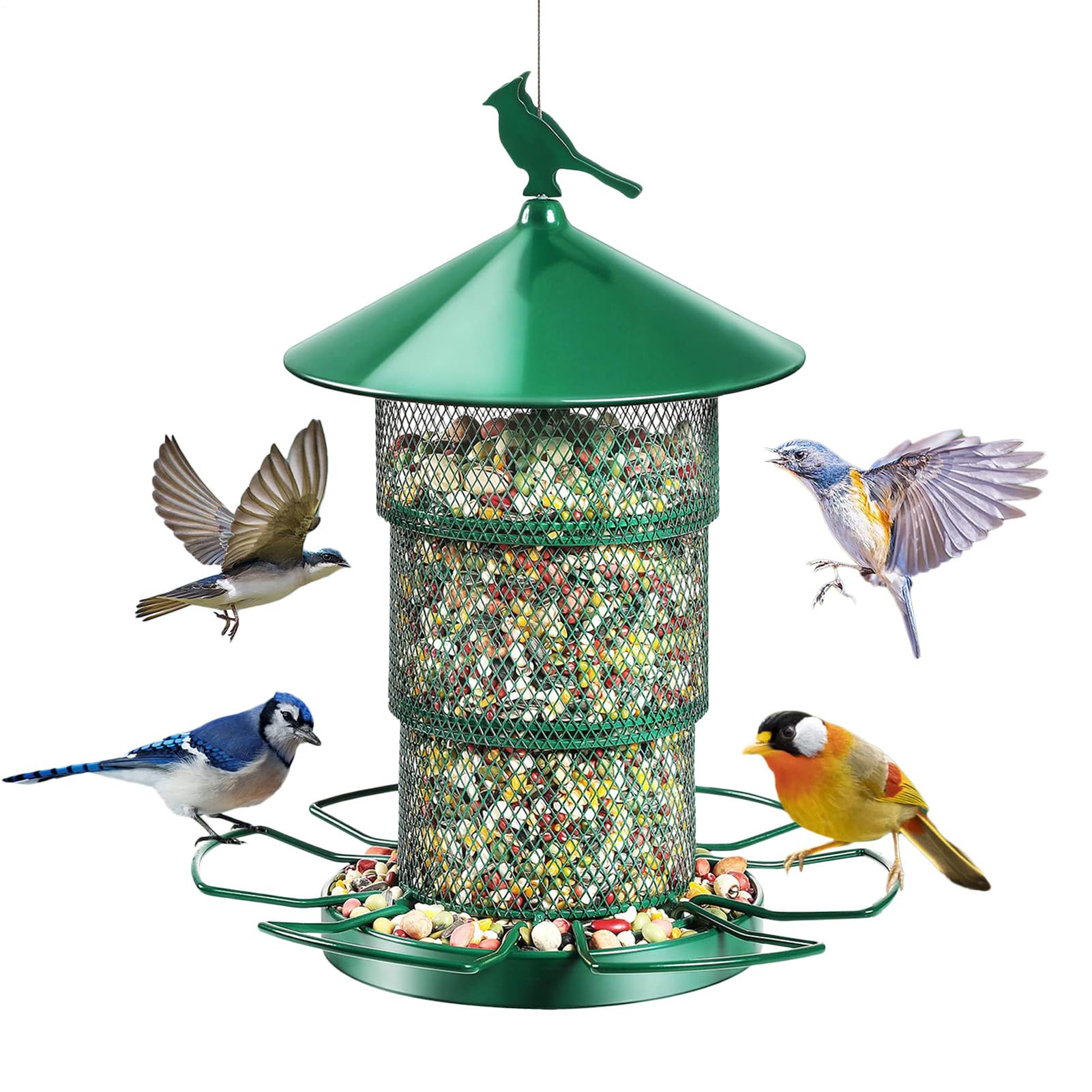 Mangiatoie Per Uccelli Da Esterno Antiscoiattolo a 3 Sostituibili | Mangiatoia Per Uccelli Esterna Resistente Agli Scoiattoli Per Giardino Finestra Balcone Terrazza Osservazione E